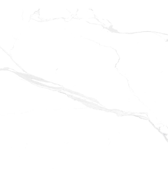 ALASKA WHITE MATT 600X600 GAT. 1