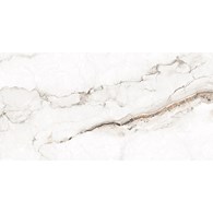FANTASTIC ONE POLISHED 1200X600 GAT. 1