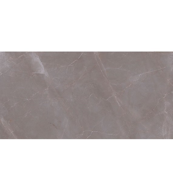 NATURAL ARMANI DARK GREY POLISHED 1200X600 GAT. 1