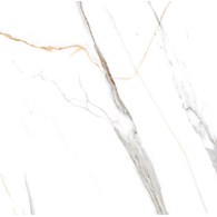 ALBATROS POLISHED 600X600 GAT. 1